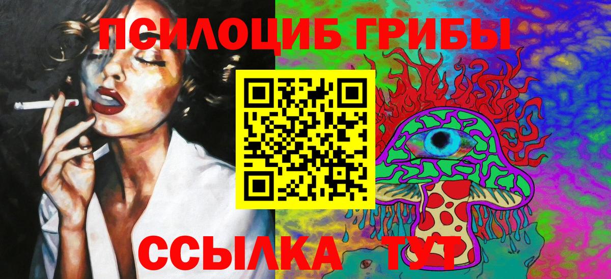 Тавда  Псилоцибиновые грибы прущие грибы  Вход с VPN 